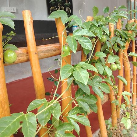 Nature Lovers Safari & Villa Udawalawe Ngoại thất bức ảnh