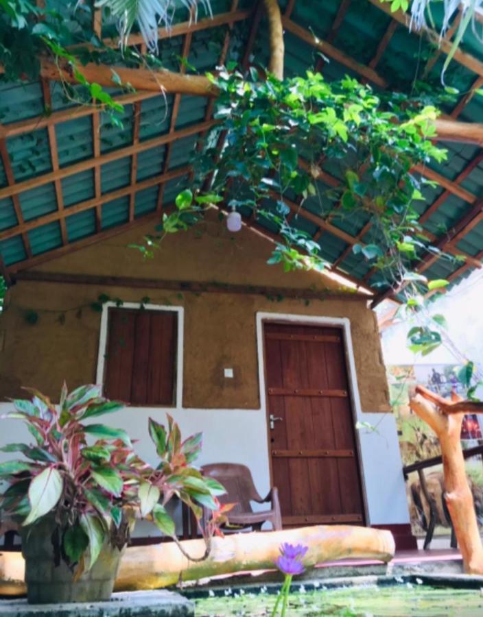 Nature Lovers Safari & Villa Udawalawe Ngoại thất bức ảnh
