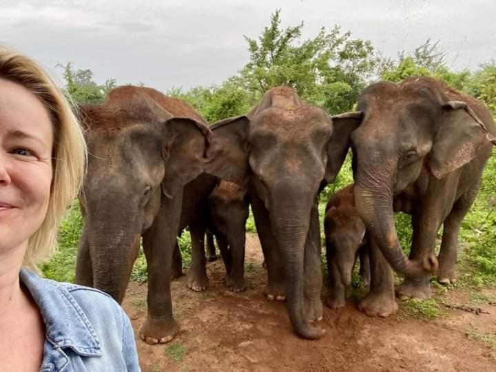 Nature Lovers Safari & Villa Udawalawe Ngoại thất bức ảnh