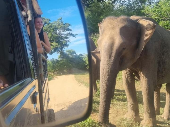 Nature Lovers Safari & Villa Udawalawe Ngoại thất bức ảnh