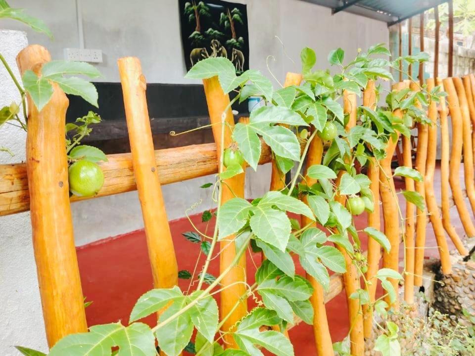 Nature Lovers Safari & Villa Udawalawe Ngoại thất bức ảnh