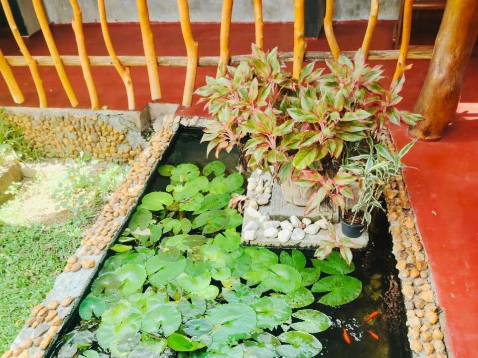Nature Lovers Safari & Villa Udawalawe Ngoại thất bức ảnh
