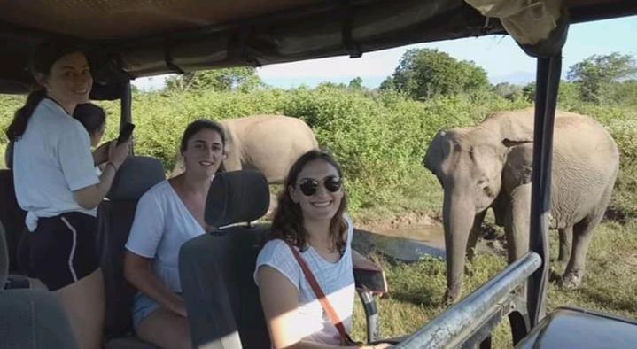 Nature Lovers Safari & Villa Udawalawe Ngoại thất bức ảnh